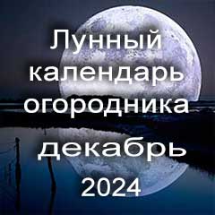 Лунный календарь огородника на декабрь 2024 года