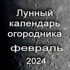 Лунный календарь посадок на февраль 2024 года огородника 