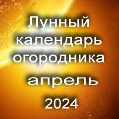 Лунный календарь посадок на апрель 2024 года огородника 