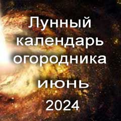 Лунный календарь посадок на июнь 2024 года огородника 
