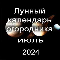 Лунный календарь посадок на июль 2024 года огородника 