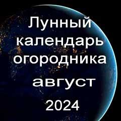 Лунный календарь посадок на август 2024 года огородника 