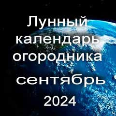 Лунный календарь посадок на сентябрь 2024 года огородника 