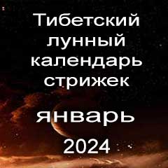 Лунный календарь стрижек волос на январь 2024 года  благоприятные дни по лунному тибетскому календарю.