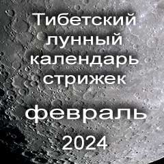 Лунный календарь стрижек волос на февраль 2024 года стрижка волос по тибетскому лунному календарю. 