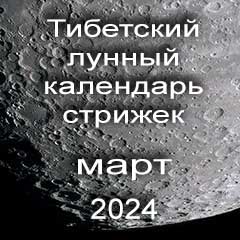 Лунный календарь стрижек волос на март 2024 года  благоприятные дни по лунному тибетскому календарю.