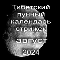 Лунный календарь стрижек волос на август 2024 года  благоприятные дни по лунному тибетскому календарю.