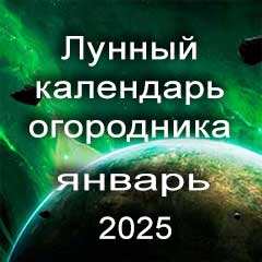 Огородника лунный календарь посадок на январь 2025 года 