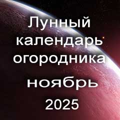 Лунный календарь посадок на ноябрь 2025 года огородника 