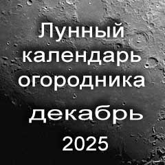 Лунный календарь огородника на 2025 год благоприятные дни для посадки.