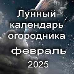 Огородника лунный календарь посадок на февраль 2025 года 