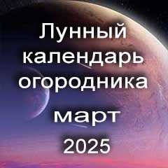 Огородника лунный календарь посадок на март 2025 года 