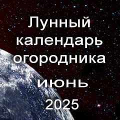 Огородника лунный календарь посадок на июнь 2025 года 