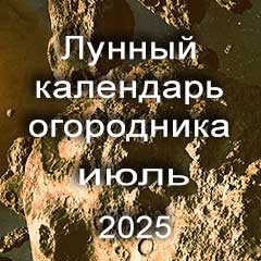 Посадок лунный календарь огородника на июль 2025 года благоприятные дни посадки овощей.