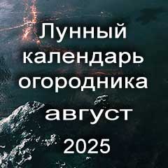 Лунный календарь огородника на август 2025 года благоприятные дни для посадок по лунным дням календаря.