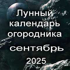 Лунный календарь посадок на сентябрь 2025 года огородника 