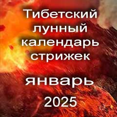 Лунный календарь стрижек волос на январь 2025 года  благоприятные дни по лунному тибетскому календарю.