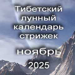 Лунный календарь стрижек волос на ноябрь 2025 года  благоприятные дни по лунному тибетскому календарю.