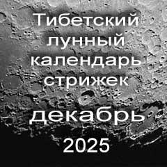 Лунный календарь стрижек волос на декабрь 2025 года  благоприятные дни по лунному тибетскому календарю.