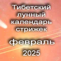 Лунный календарь стрижек волос на февраль 2025 года  благоприятные дни по лунному тибетскому календарю.