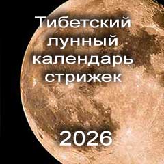Лунный календарь стрижек на 2026 год