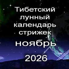 Лунный календарь стрижек волос на ноябрь 2026 года