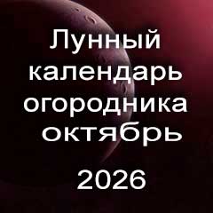 Лунный календарь огородника на октябрь 2026 года