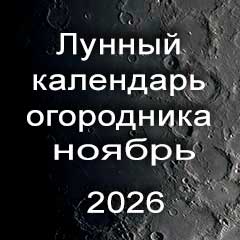 Лунный календарь огородника на ноябрь 2026 года