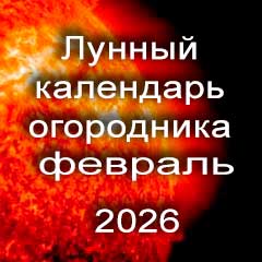 Лунный календарь огородника на февраль 2026 года