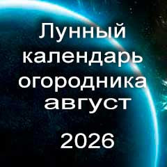 Лунный календарь огородника на август 2026 года