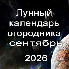 Лунный календарь огородника на сентябрь 2026 года