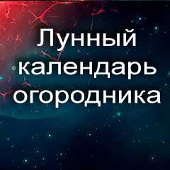 Лунный календарь огородника на 2020 год благоприятные дни для посадки по по лунному календарю огородника